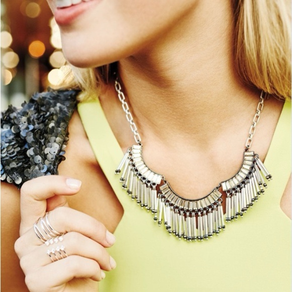 Stella & Dot Elegant Silver Necklace with Fringe Design NEW IN BOX